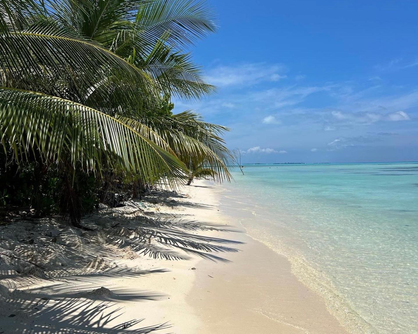 Heron Beach Hotel - The Best Maldivian Getaway In Dhiffushi,Maldives Exterior photo